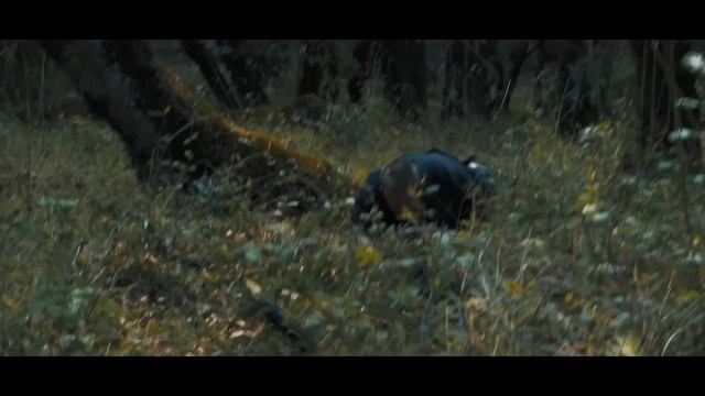 Bronson - Official Film (2018)