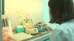 ПЦР - полимеразная цепная реакция