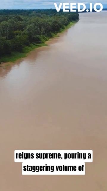 Biggest River In The World