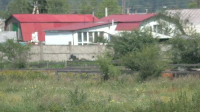 Большой Иркутский Приз Дерби 2 гит смотреть онлайн