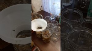 Рецепт вкуснейших маринованных грибов! И жареные сморчки.