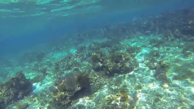 Glass Bottom Boat Snorkel Trip смотреть онлайн