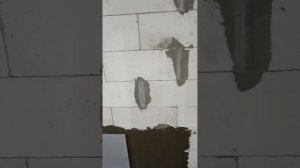 Штукатурить газоблок перед укладкой плитки или нет???!