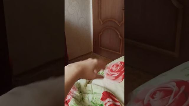 От винта! смотреть онлайн