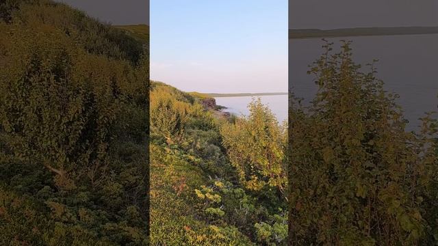 Терский берег 2024 ч.6