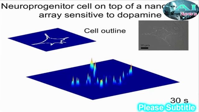 Artificial Intelligence News - Sensor traces dopamine released by single cells смотреть онлайн
