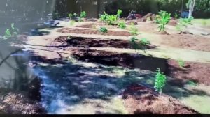 Пермокультура - огород для ленивых и умных )))))