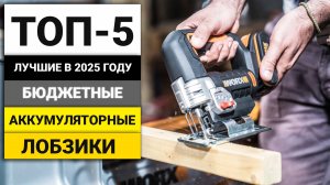 Лучшие бюджетные аккумуляторные лобзики | ТОП-5 в 2025 году