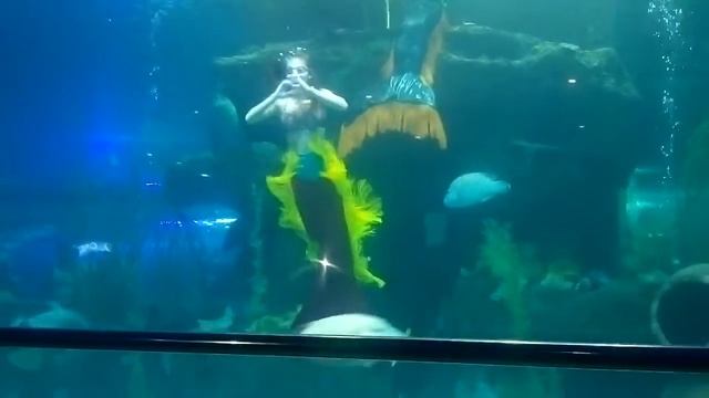 Câu chuyện nàng tiên cá 4 Vinpearl Phú Quốc