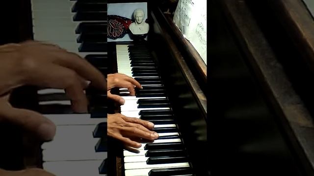 Traumerei (Dreaming) By Robert Schumann Op.15,No.7