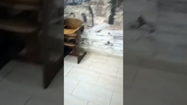 Ужин в отеле Династия 3* Сиде Турция смотреть онлайн