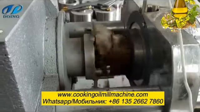 Место работы маслопресса для рапсового масла смотреть онлайн