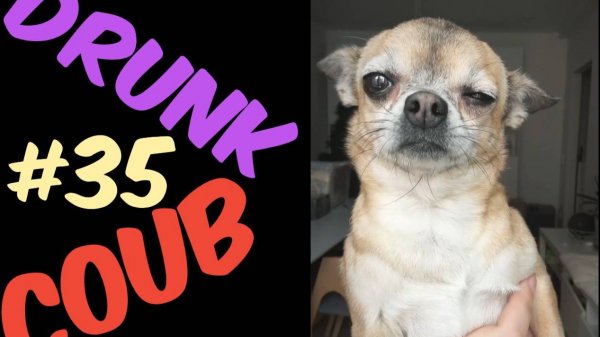DRUNK COUB №35 / RANDOM