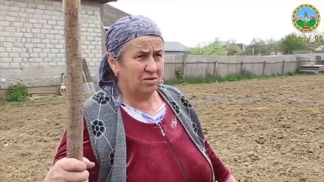 Жители Шалинского муниципального района активно продолжают посевные работы.