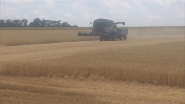 13 Июля уборка пшеницы 2018 смотреть онлайн