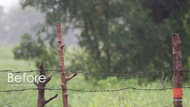 Monsoon moody Presets Ri Adobe premiere pro color grading presets смотреть онлайн