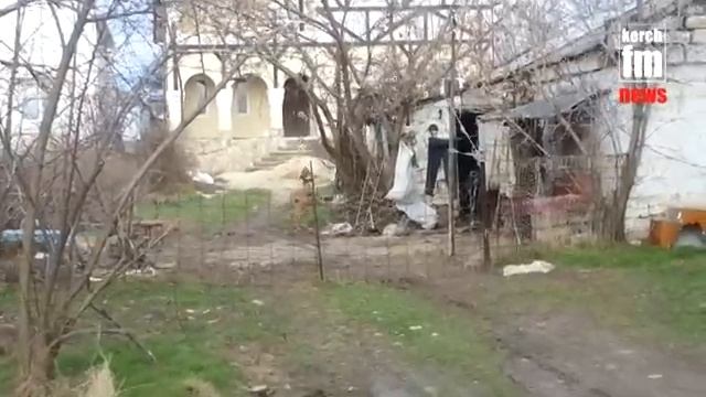 Пес в Керчи танцует полонез смотреть онлайн