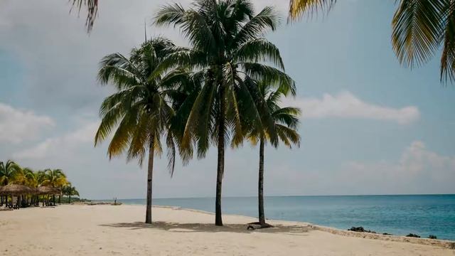 Summer In Colombia - Carmen María And Edu Espinal | Salsa Music | Latino Music