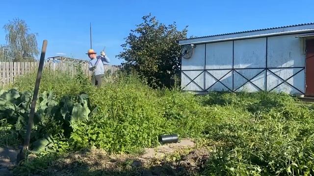 mowing grass with a hand scythe/косьба ручной косой смотреть онлайн