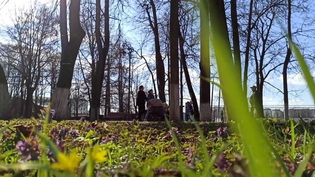 Первые цветы в парке смотреть онлайн