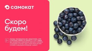 Реклама Самокат: По прогнозу - остаётесь дома? скоро будем! 15 сек
