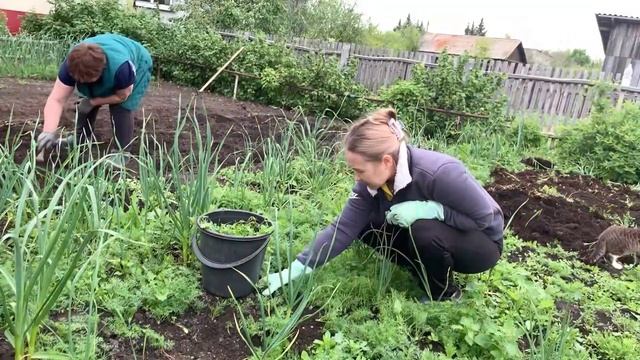 Выходные в деревне. Гуляем без детей. смотреть онлайн