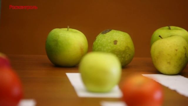 Международный семинар в Росстандарте