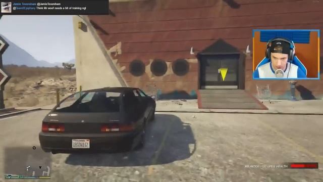 GTA 5: EXOTIC ANIMALS MOD!! 🦁🐯🐻🐼 (GTA 5 Pet Mod)  (GTA 5 Mod Gameplay)