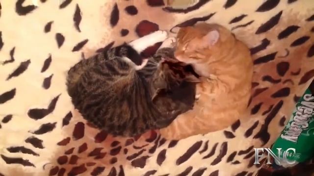 У меня есть ты! смотреть онлайн