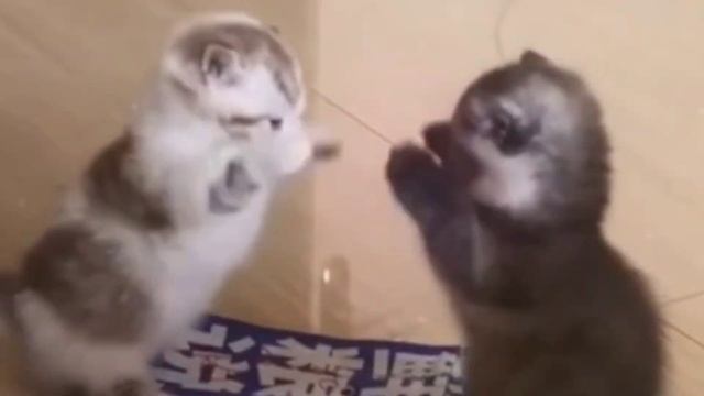 !!!HAPPY NEW KIRPICH!!! | !!!СЧАСТЛИВОГО НОВОГО КИРПИЧА!!! смотреть онлайн