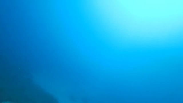 Семейное видео с отпуска смотреть онлайн