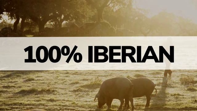 Spain’s National Treasure: 5J Cinco Jotas Ibérico de Bellota смотреть онлайн