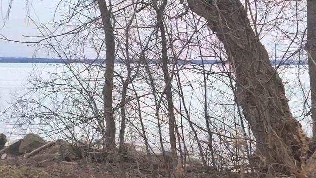 Наедине с Природой. смотреть онлайн