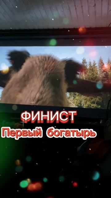 Кабан с крыльями! 👀 смотреть онлайн