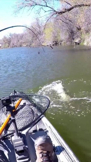 Рыбалка от первого лица Ловля Рыбы МОНСТРА На Искусственную Змею