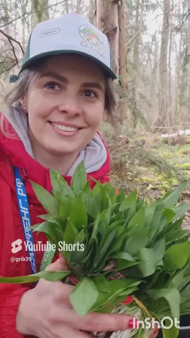 ЧЕРЕМША маринованая в томате 🔥 РЕЦЕПТЫ грибников ‼️ #shorts смотреть онлайн