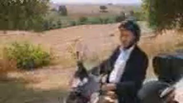Che ore sono?? gigi proietti смотреть онлайн