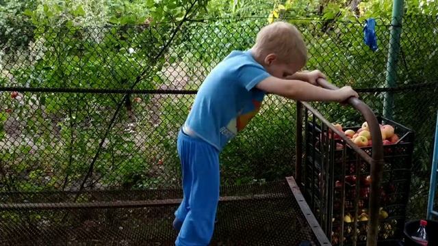 Огород в сентябре. Не открыли детский сад. смотреть онлайн