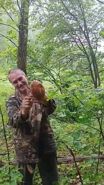 Александр ( ДАН)