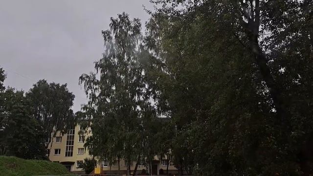 Громы с молнией гроза в Нарве 2022.08.06 смотреть онлайн