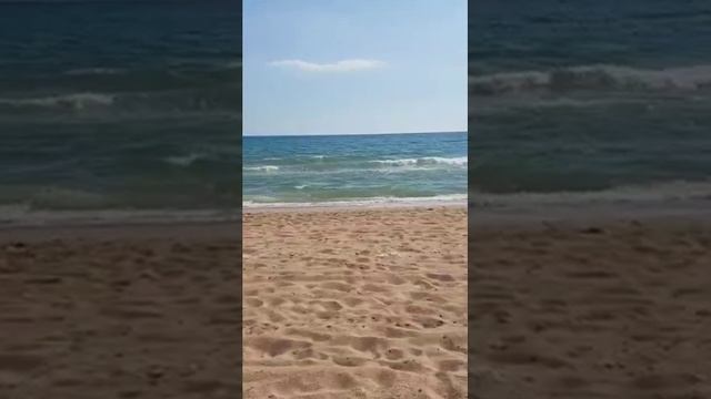 К О С А. #предместинваня
