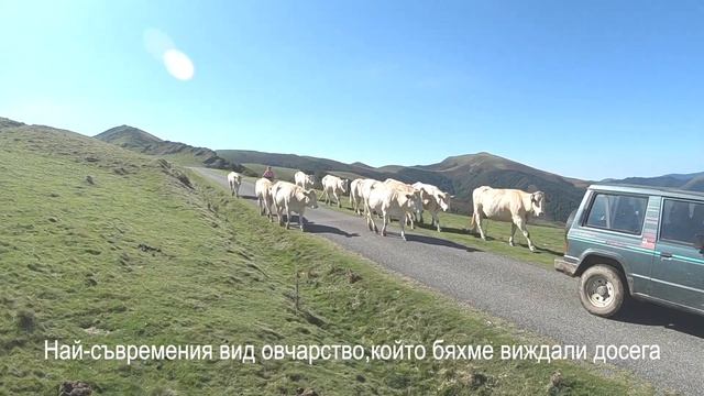 🔥Пътят до Сантяго | Влизаме в ИСПАНИЯ🇪🇸|1 ЕТАП ➔ Saint Jean Pied de Port-Espinal | ЕПИЗОД 1 смотреть онлайн