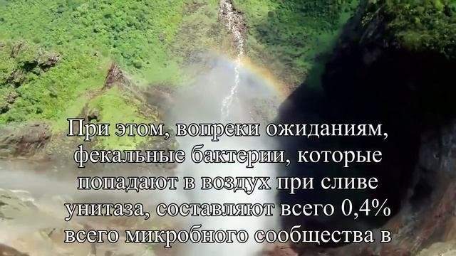 Водопроводная вода распространяет больше микробов, чем унитаз — Статья смотреть онлайн