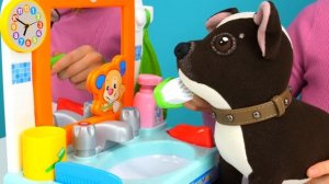 Собачка Шоколадка и её новый умывальник! Развивающие видео как Мама про игрушки