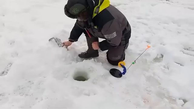 19 февраля 2024 г. смотреть онлайн