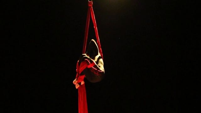 Кубок "No Gravity Art" 2016 - Александра Макосова (г. Новосибирск) смотреть онлайн