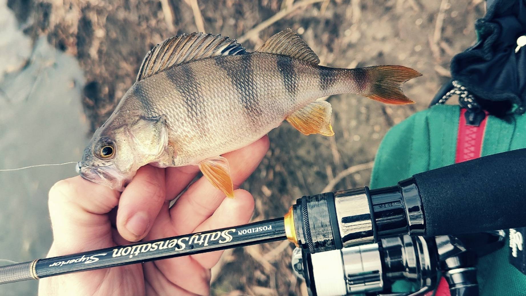 Рыбалка на открытой воде - что может быть лучше? МИКРОДЖИГ смотреть онлайн