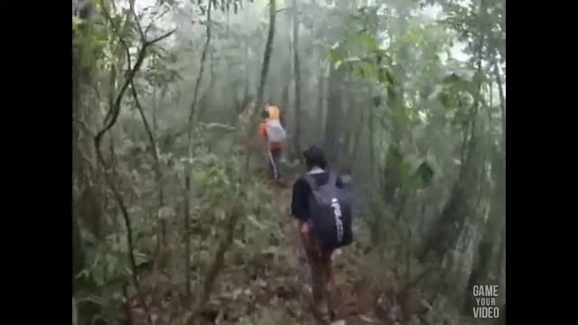 trecking puncak batukaru смотреть онлайн