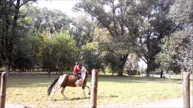 У Кузи на Ранчо смотреть онлайн