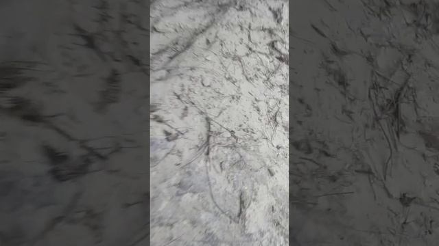 В поисках приключений 😅 2часть. Лисьи норы! смотреть онлайн